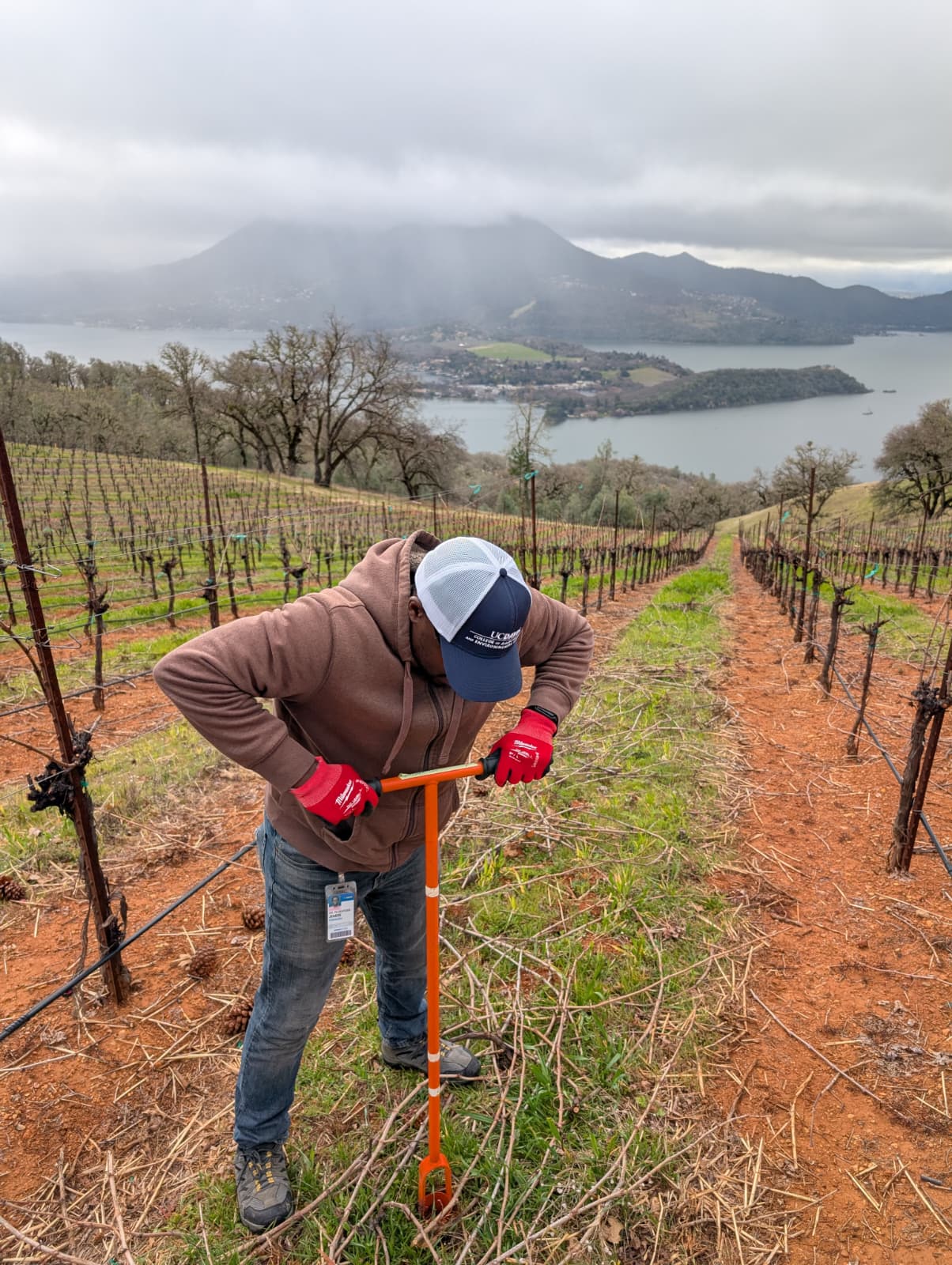 Growth Chamber and Incubator Setup